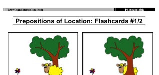Prepositions of Location Flashcards (Large) (part 1)