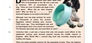 Keeping Pets (part 2)